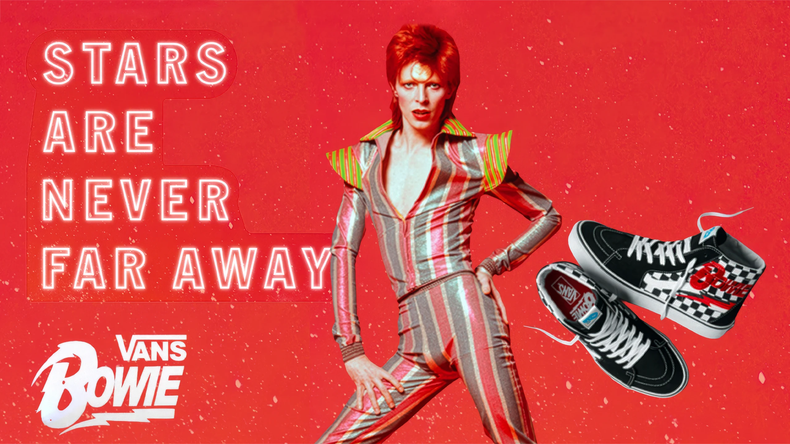 vans bowie 01 Freitas Design Group